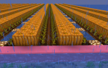 farm2.png