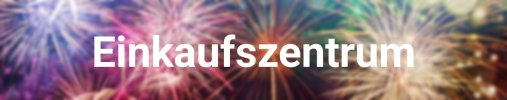 Silvester_ (1)_20230123001054945.jpg