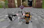 gomme c.png