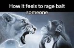 rage.png rage.png