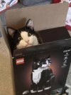 IMG_6409.jpeg