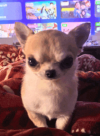 1776969955361.png