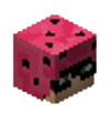 Kopf.png Kopf.png