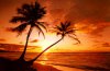 tropischer-strand-sonnenuntergang.jpg
