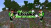 Banner Piccabo.jpg