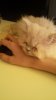 20141228_115004.jpg