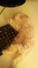 20141228_132645.jpg