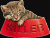 Killercat.gif