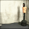 17930gs-gaggif.gif