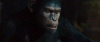 giphy (1).gif