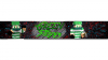 xGreenStripes ForumBanner.png