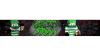 xGreenStripes ForumBanner.png