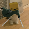 porze