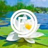 Finnlein