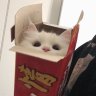 sillyhurt