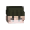 VwVfG