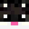 NickSeinInvis