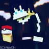 schwach88