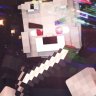 Plerax