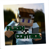 FlashControl