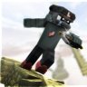 CarryTurtle