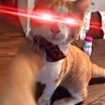 speyck