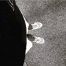 Shiisuii