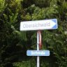 LogischerWald