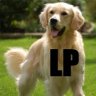 GoldenretriverYT