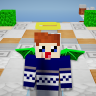 Blockcrafter07