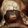 friedelnaldo