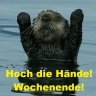 DerLiveChat