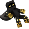 1Domi