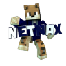 Netnax