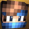 Skyhawkbird