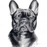 ArtiDog