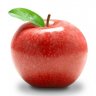 ApplemasterLP