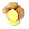 xDrPotato