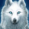 PlayWolfYT