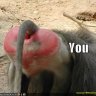 uuqt