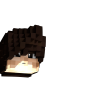 Pvradise