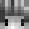 YTRapex