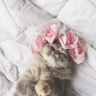 Annkaa