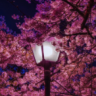 NV-878d90d4-e8ee-4d87-bbfc-9f9dcb435e0c