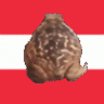 Zerbrxsler
