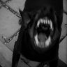 DeathvalleySG
