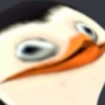 qMa_