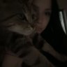 twitchdomi