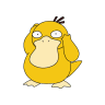 AmineFeh