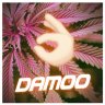 damoo_